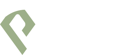 Pinnacle New CMS